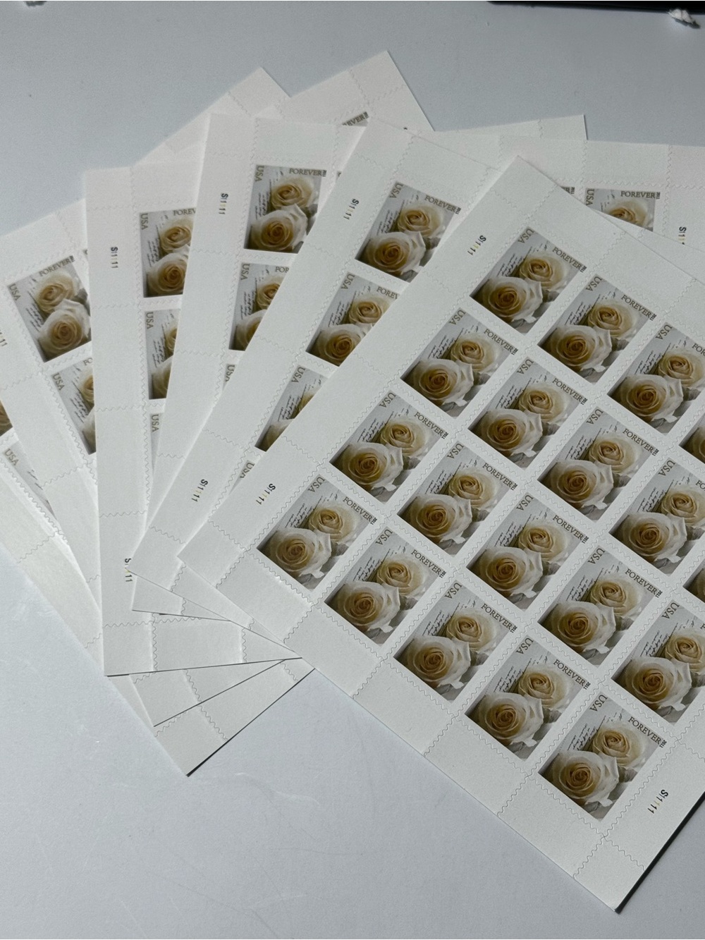 SHEIN White and Cream Rose Forever Stamp Sheets - Floral Stamp Lot